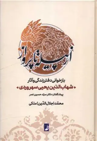 از پیله تا پرواز بازخوانی دفتر زندگی و آثار سهروردی(طه)ملکی