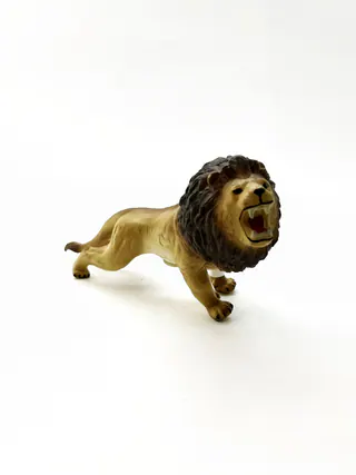 شیر نر الیاف دار