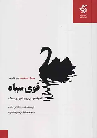 قوی سیاه(اندیشه ورزی پیرامون ریسک)