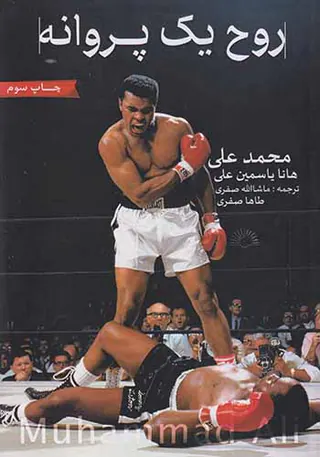 روح یک پروانه