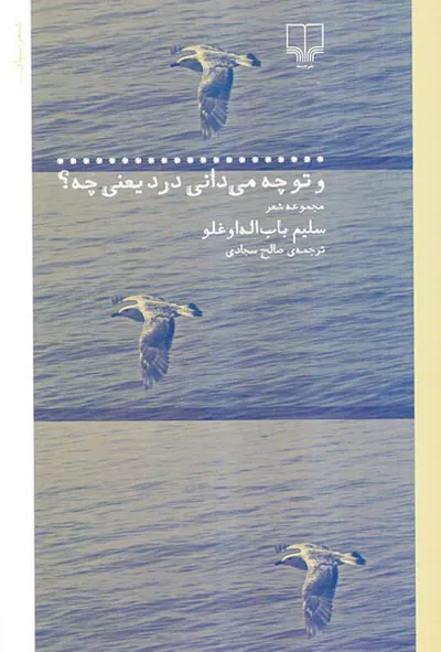 و تو چه می دانی درد یعنی چه