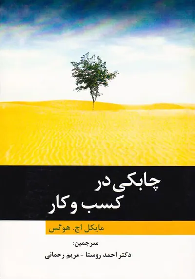 چابکی در کسب و کار