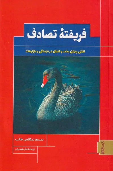 فریفته تصادف