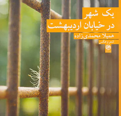 یک شهر در خیابان اردیبهشت