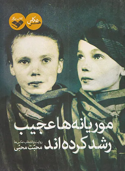 موریانه های عجب رشد کرده اند