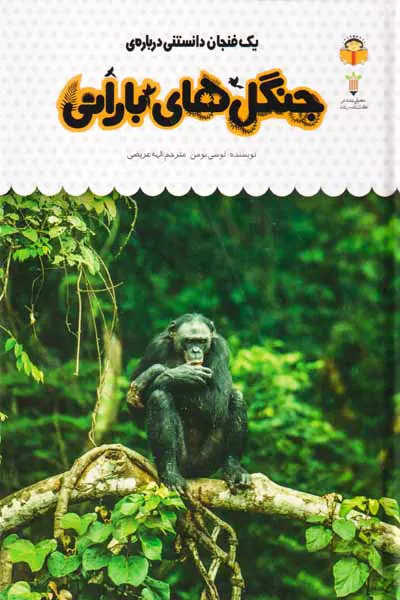 یک فنجان دانستنی درباره ی(جنگل های بارانی)