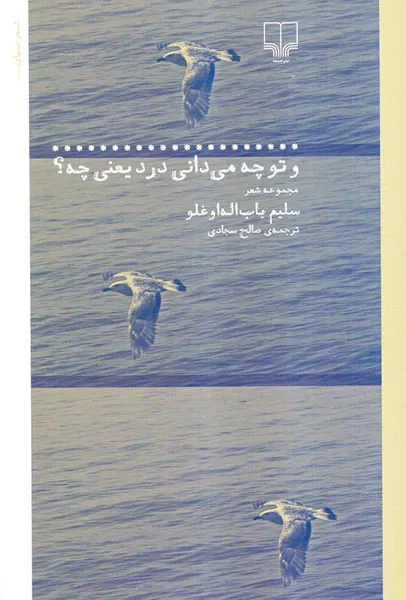 و تو چه می دانی درد یعنی چه