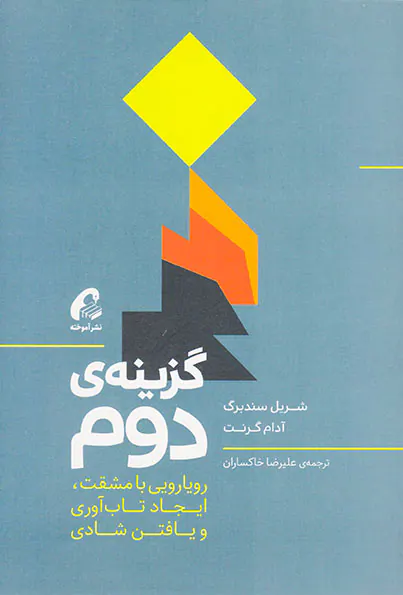 گزینه ی دوم(رویارویی با مشقت ایجاد تاب آوری و یافتن شادی)