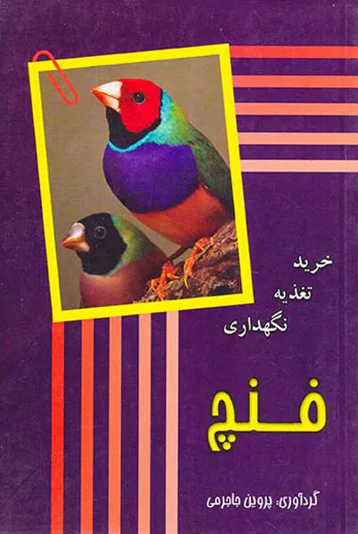 فنچ:خرید تغذیه نگهداری