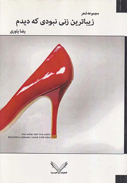 زیباترین زنی نبودی که دیدم