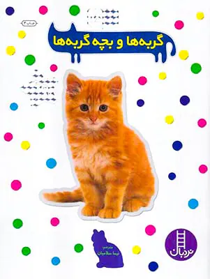 بچسبان و بیاموز گربه ها و بچه گربه ها