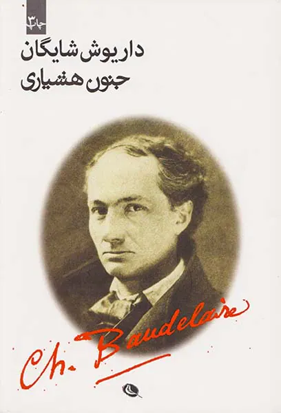 جنون هشیاری