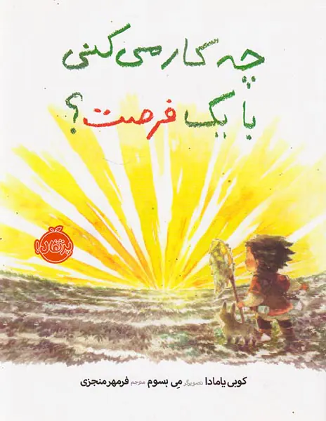چه کار می کنی با یک فرصت