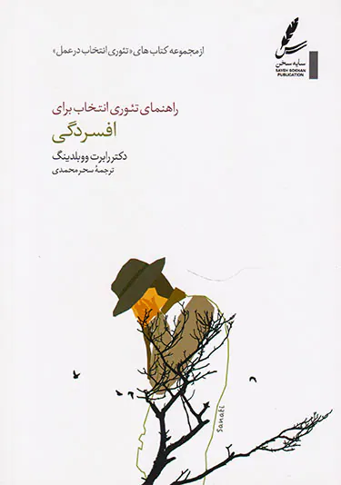 راهنمای تئوری انتخاب برای افسردگی