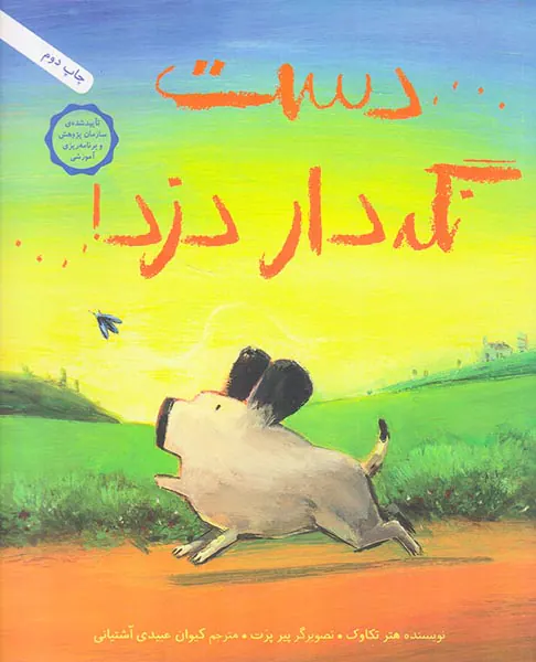 دست نگه دار دزد
