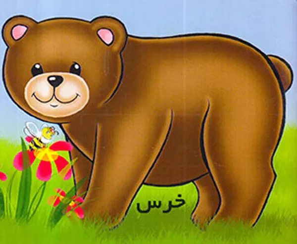 آموزش حیوانات وحشی خرس