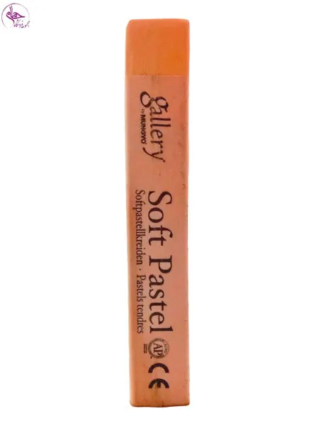 پاستل گچی گالری Medium Flesh کد 005