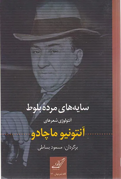 سایه های مرده بلوط