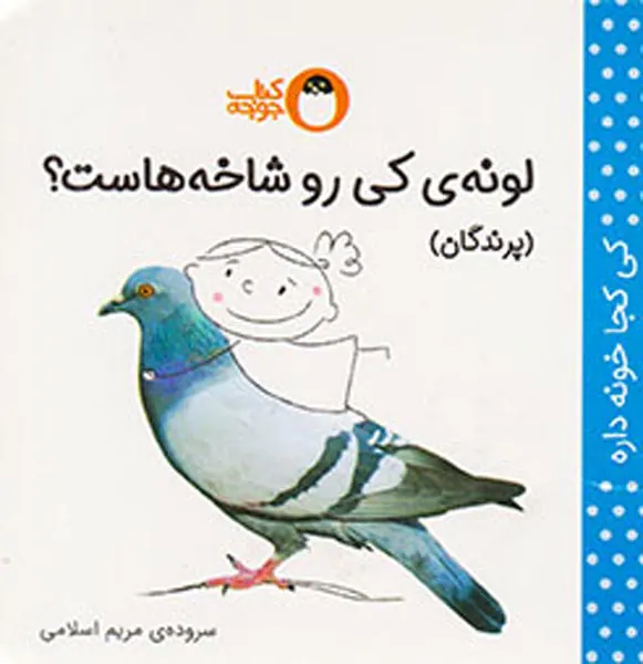 لونه ی کی رو شاخه هاست پرندگان