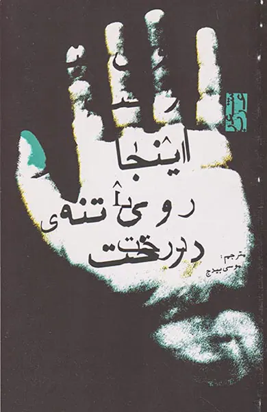 اینجا روی تنه ی درخت