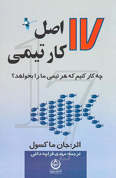17اصل کار تیمی