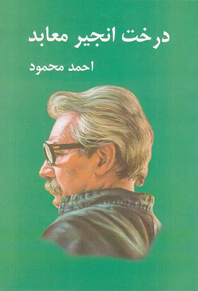 درخت انجیر معابد2جلدی