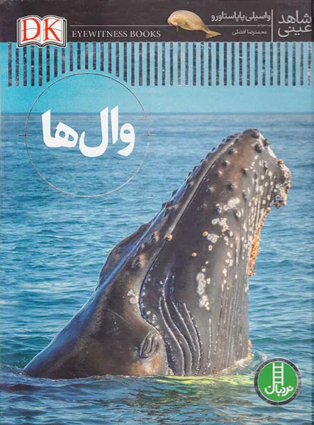 شاهد عینی وال ها