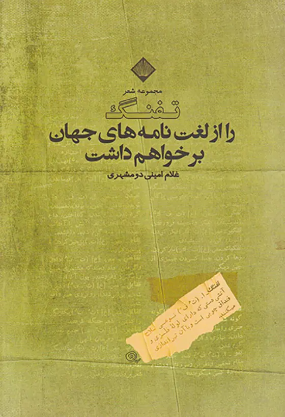 تفنگ را از لغت نامه های جهان برخواهم داشت