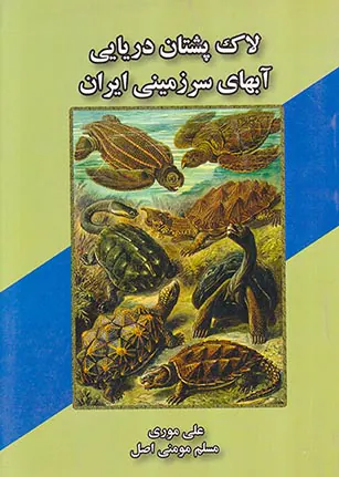 لاک پشتان دریایی آبهای سرزمینی ایران