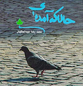 حالا که آمده ای