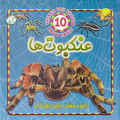 جانور هشت پای خطرناک عنکبوت ها