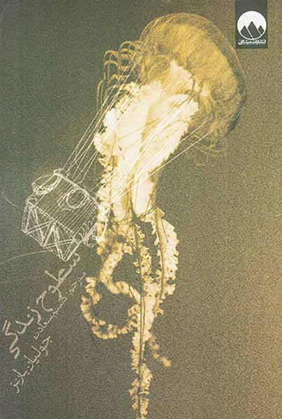 سطوح زندگی