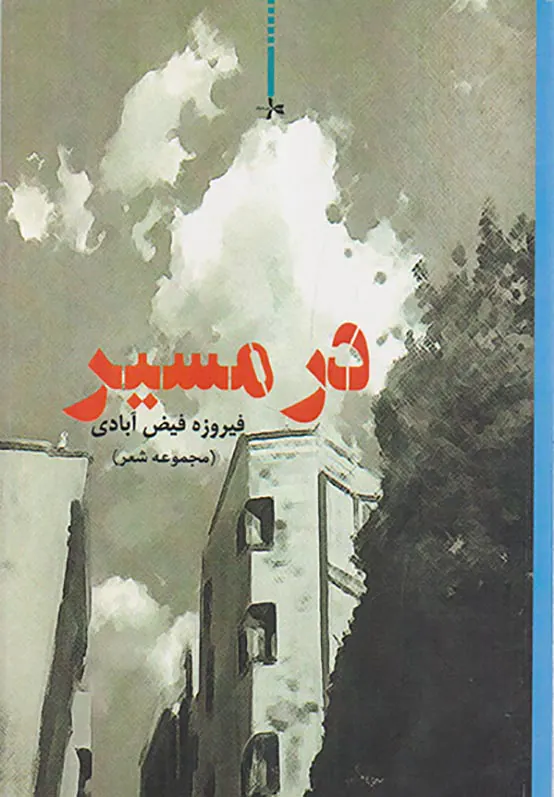 در مسیر