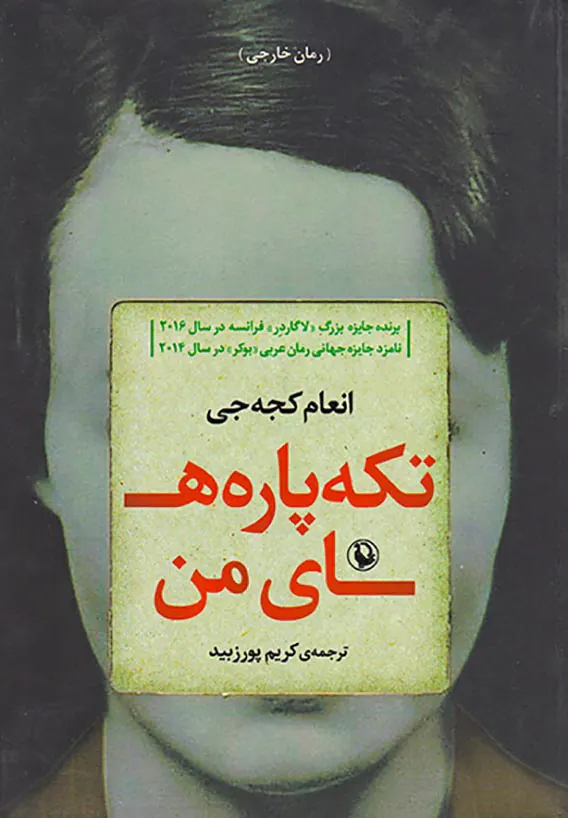 تکه پاره های من