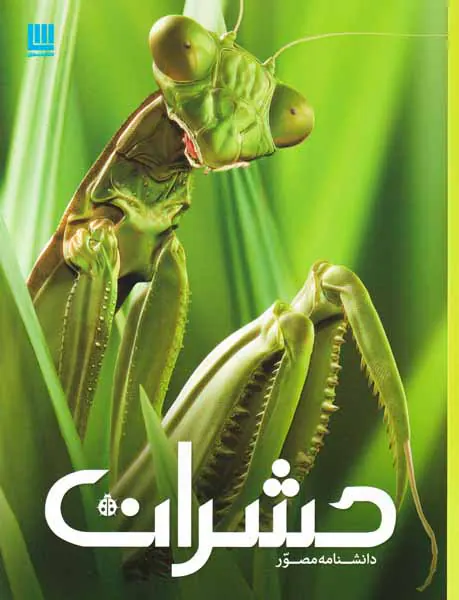 دانشنامه مصور حشرات