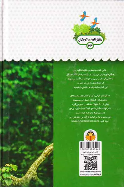 یک فنجان دانستنی درباره ی(جنگل های بارانی)