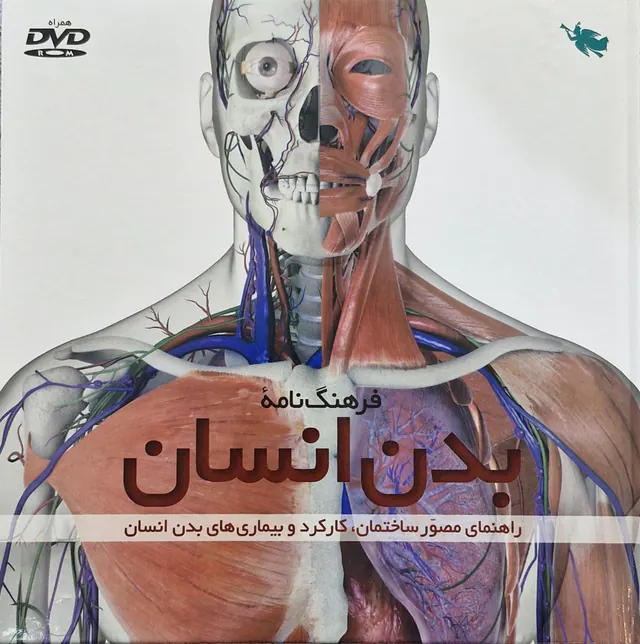 فرهنگ نامه بدن انسان خشتی بزرگ