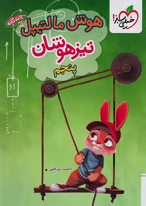 کتاب هوش مالتیپل تیزهوشان پنجم انتشارات خیلی سبز