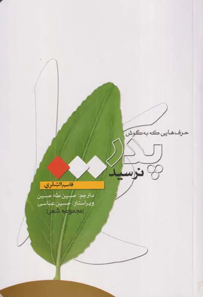 حرف هایی که به گوش پدر نرسید
