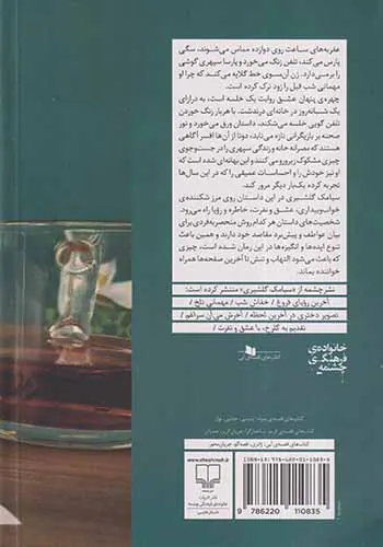 چهره ی پنهان عشق