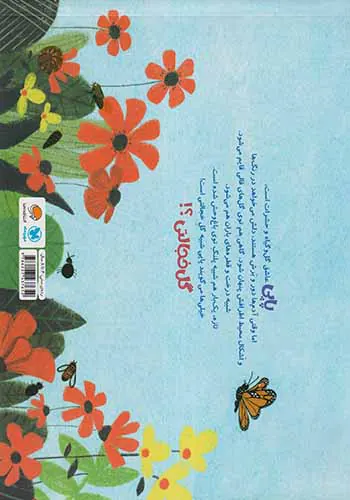پاپی گل خجالتی