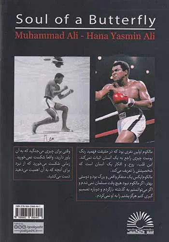 روح یک پروانه